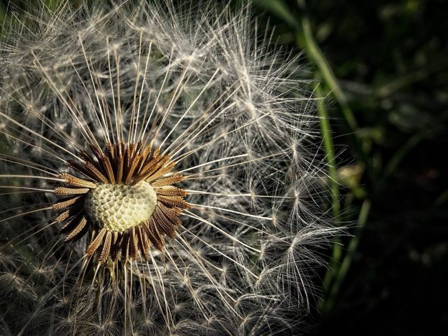 Comment se protéger efficacement des allergies saisonnières ?